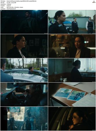 DI Ray 2022 S01 S02 720p WEB-DL HEVC x265 BONE