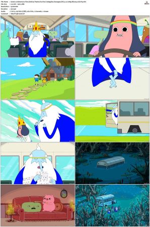Adventure Time 2008 S01-S10 + Fionna and Cake 1080p Bluray EAC3 2.0 x265-iVy