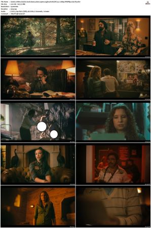 Minx S01 S02 WEBRip EAC3 5 1 1080p x265-iVy