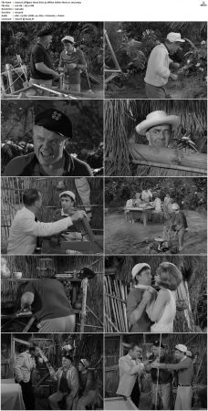 Gilligans Island S01 S03 DVDRip H264-NGP