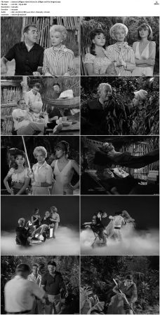 Gilligans Island S01 S03 DVDRip H264-NGP