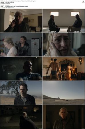Barry S01 S04 SUPER-PACK WEBRip EAC3 5 1 1080p x265-iVy