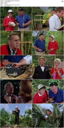 Gilligans Island S01 S03 DVDRip H264-NGP