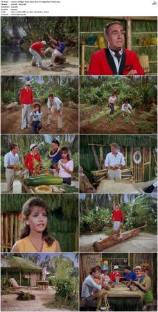 Gilligans Island S01 S03 DVDRip H264-NGP