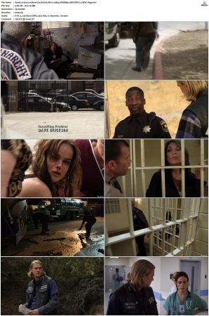 Sons of Anarchy S01 S07 SUPER-PACK 1080p WEBRip 10Bit DDP5 1 HEVC-d3g