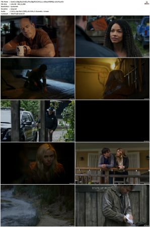 Big Sky S01 S03 WEBRip EAC3 5 1 1080p x265-iVy
