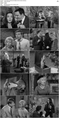 The Addams Family 1964 S01 S02 DVDRip X264-NGP