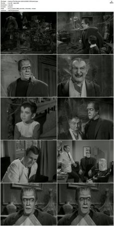 The Munsters 1964 S01 S02 DVDRip MPEG-NGP