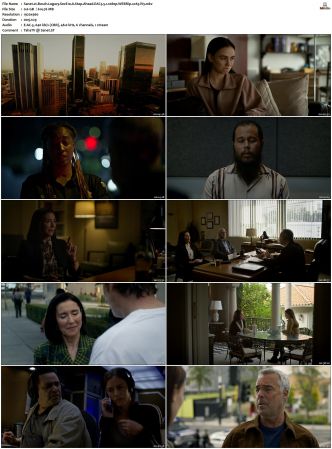 Bosch Legacy S01 S02 SUPER-PACK 1080p AMZN WEBRip DDP 5 1 x265-iVy