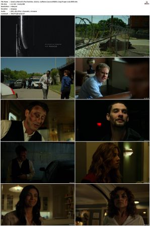 Marvels The Punisher S01 S02 720p WEBDL x265-BMF