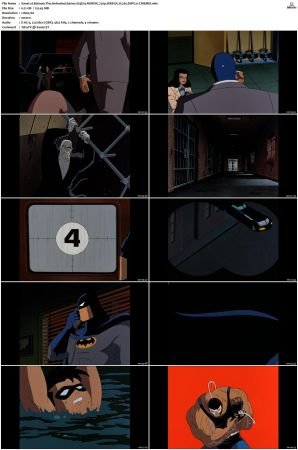 Batman The Animated Series S01-S04 MULTi 1080p WEB-DL H265 DDP2.0-CiNEMiX