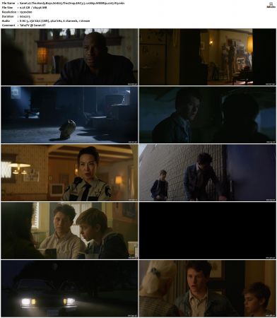 The Hardy Boys S01 S03 WEBRip EAC3 5 1 1080p x265-iVy