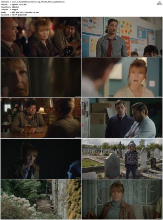 Harry Wild 2022 S01 S03 720p WEB-DL HEVC x265 BONE