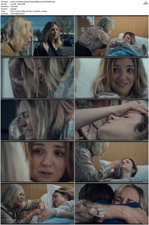 The Bear S01 S03 SUPER-PACK 1080p WEBRip x265-KONTRAST