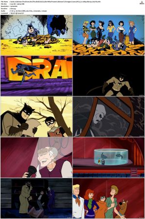 Batman The Brave And The Bold 2008 S01-S03 1080p Bluray EAC3 2.0 x265-iVy