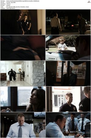 Southland S01 S05 SUPER-PACK NORDiC 720p WEB-DL H 265 DD5 1-CiNEMiX
