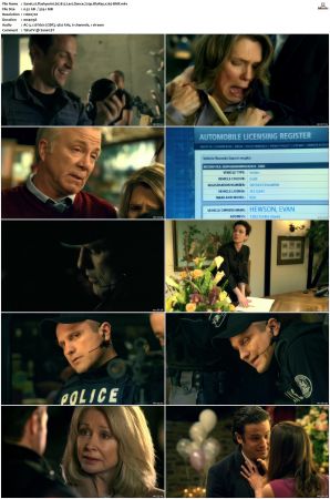 Flashpoint S01 S05 SUPER-PACK 720p BluRay x265-BMF