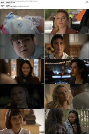 Big Sky S01 S03 WEBRip EAC3 5 1 1080p x265-iVy