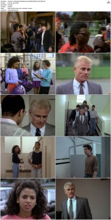 21 Jump Street S01 S05 WEB-DL H 264-JiTB