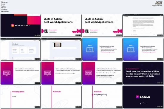 LLMs in Action: Real-world Applications