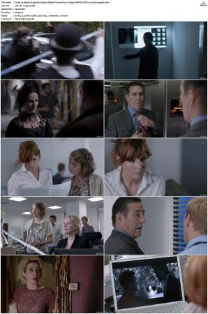 Above Suspicion S01 S04 SUPER-PACK 1080p WEB-DL DDP2 0 H264-squalor
