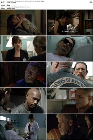 Sons of Anarchy S01-S07 SUPER-PACK 1080p WEBRip 10Bit DDP5.1 HEVC-d3g