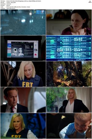 CSI Cyber S01 S02 WEBRip EAC3 5 1 1080p x265-iVy
