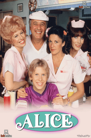 Alice 1976 S01-S09 480p DVDRip AAC2.0 x264-NGP