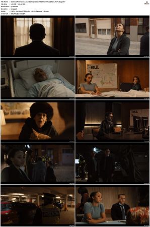 Professor T 2021 S01 S03 1080p WEBRip 10Bit DDP2 0 HEVC-d3g