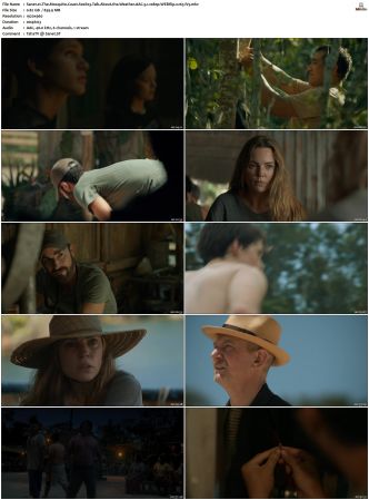 The Mosquito Coast 2021 S01 S02 SUPER-PACK WEBRip AAC 5 1 1080p x265-iVy