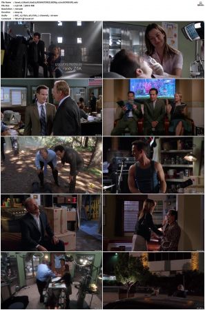 Monk S01-S08 SUPER-PACK BDRip x264-BORDURE