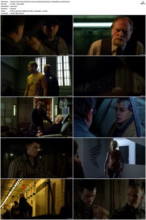 The Strain S01 S04 Bluray EAC3 5 1 1080p x265-iVy