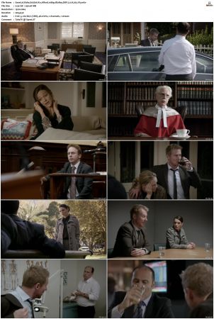 Rake S01 S05 1080p BluRay DDP 2 0 x265-iVy