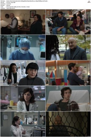 New Amsterdam S01 S05 WEBRip EAC3 5 1 1080p x265-iVy