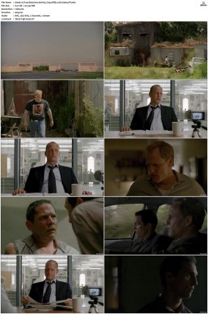 True Detective S01-S04 COMPLETE 720p BluRay x264-GalaxyTV