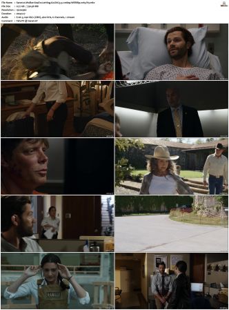 Walker S01-S04 1080p WEBRip EAC3 5.1 x265-iVy