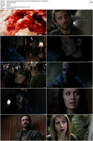 Supernatural S01 S15 WEBRip EAC3 2 0 1080p x265-iVy