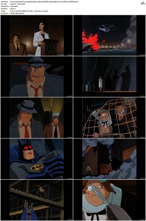 Batman The Animated Series S01-S04 MULTi 1080p WEB-DL H265 DDP2.0-CiNEMiX