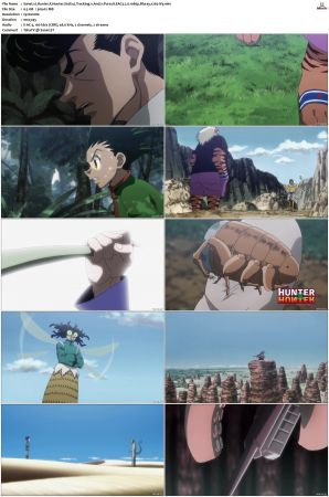 Hunter X Hunter S01-S03 Bluray EAC3 2 0 1080p x265-iVy