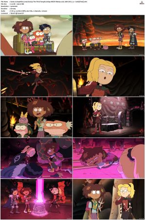 Amphibia 2019 S01-S03 1080p AMZN Webrip x265 10bit EAC3 Goki TAoE