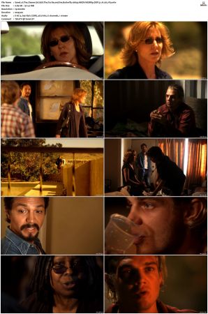 The Cleaner S01 S02 1080p AMZN WEBRip DDP 5 1 x265-iVy