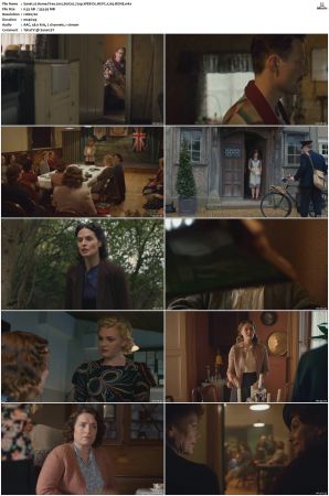 Home Fires 2015 S01 S02 720p WEB-DL HEVC x265 BONE