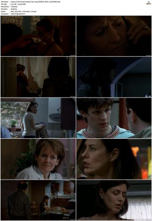 The Street 2006 S01 S03 720p WEB-DL HEVC x265 BONE