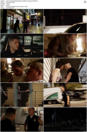 Southland S01 S05 SUPER-PACK NORDiC 720p WEB-DL H 265 DD5 1-CiNEMiX