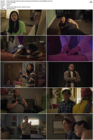 Awkwafina Is Nora From Queens S01 S03 WEBRip EAC3 5 1 1080p x265-iVy