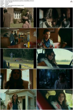 Reservation Dogs S01 S03 WEBRip EAC3 5 1 1080p x265-iVy