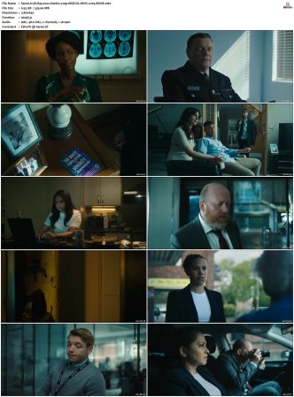 DI Ray 2022 S01 S02 720p WEB-DL HEVC x265 BONE