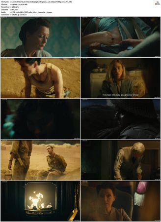 World On Fire 2019 S01 S02 WEBRip EAC3 2 0 1080p x265-iVy