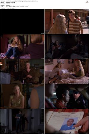 Medium S04 NORDiC 720p WEB-DL H 265 DD5.1-CiNEMiX