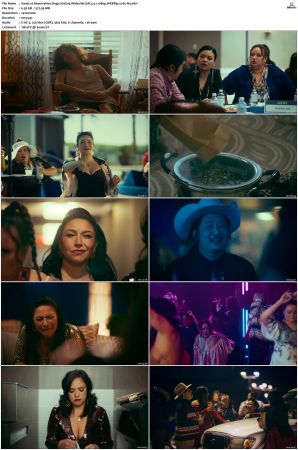 Reservation Dogs S01 S03 WEBRip EAC3 5 1 1080p x265-iVy